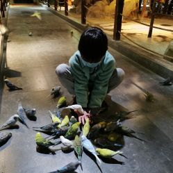 -酷嗒动物文化乐园(cutezoo西溪乐天城店)