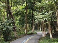 -桤木河湿地公园