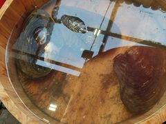 -客家大院·非遗赣南客家菜(郁孤台店)