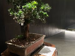 -望京辣宴·古法川菜(望京店)