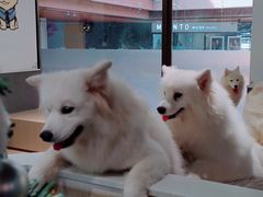 -瑞虹新天地月亮湾