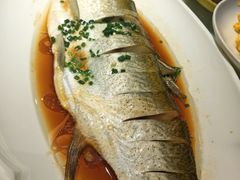 -松沪名灶·豆浆鱼头·新上海菜(飞航吾悦广场店)