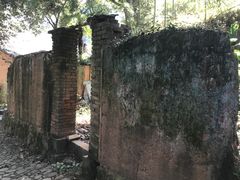 -杨家堂村