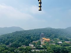 -老头儿油爆虾·1987杭州烟火味(湖滨银泰in77D区店)