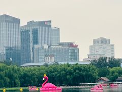 -莲花池公园