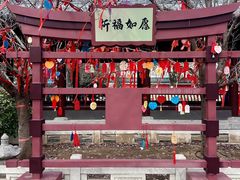 -祥源·阜阳生态乐园