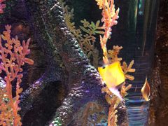 -沈阳海洋探索中心