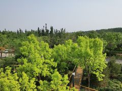 -东郊湿地公园
