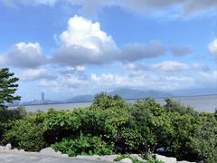 -福田红树林生态公园