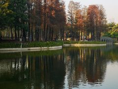-四海公园(南山区)