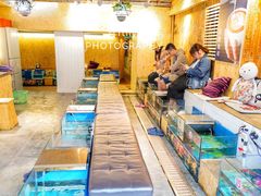 -泰国鱼疗足疗馆