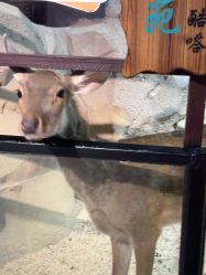 -酷嗒动物文化乐园(cutezoo西溪乐天城店)