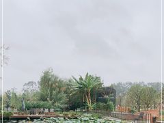 -三圣花乡旅游区