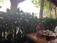 -Judy's  spot