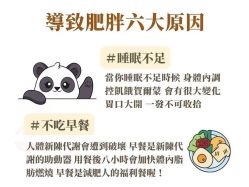 -Fundi张玉珊修身堂·indiba·BTL科技瘦身