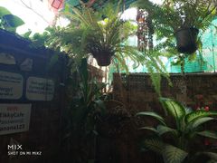 -Tikky Cafe