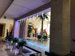 -常州环球恐龙城维景国际大酒店