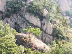 -六里坪国家森林公园