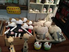 -猫咪博物馆(顶澳仔猫街店)