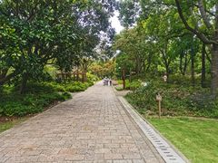-上海滨江森林公园