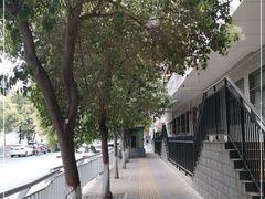 -阿五黄河大鲤鱼(纬三路店)