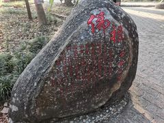 -瑞丽独树成林风景区