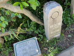 -梧桐山风景名胜区