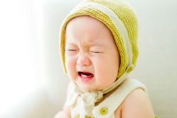 -木棉花亲子儿童摄影