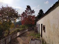 -塔川景区
