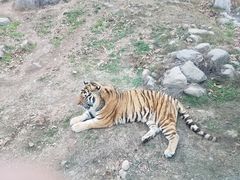 -西安秦岭野生动物园