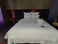 -南京禄口机场雅高铂尔曼大酒店