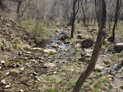 -玉渡山自然风景区