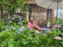 -白鹭湾湿地公园