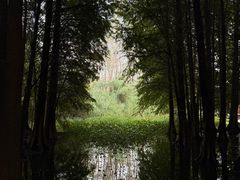 -溱湖国家湿地公园