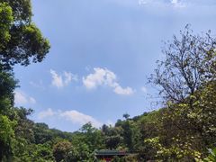 -天鹿湖森林公园