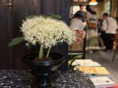 -灶咖KITCHEN