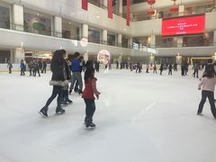 -炫采冰场(红博中央公园商场店)