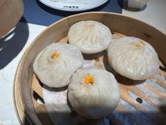 -点都德·毕德寮