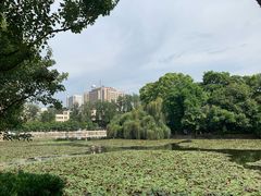 -翠湖六号全日制西餐厅(翠湖宾馆店)