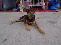 -西涌国际滨海旅游区