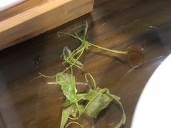 -祥云精致湘菜馆(东1时区店)