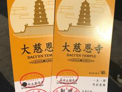 -大雁塔北广场音乐喷泉