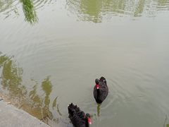 -南翠屏公园