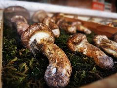 -云上珍野生菌(兴仁店)