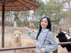 -盈香心动乐园
