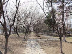 -辽宁大学(崇山校区)