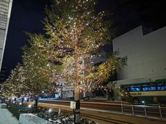 -札幌电视塔