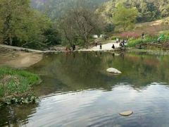 -广州市石门国家森林公园