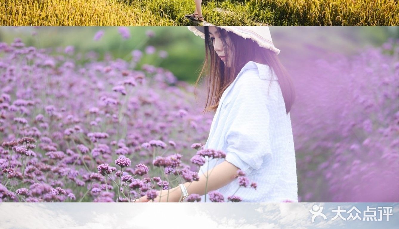 其他拆剩的环境一般 住双廊亲水房一定要有管家服务的