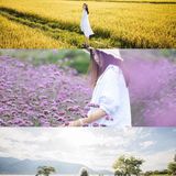 其他拆剩的环境一般 住双廊亲水房一定要有管家服务的